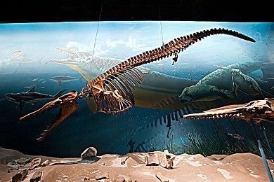 调查问卷显示微软似乎正在进行Xbox掌机开发计划